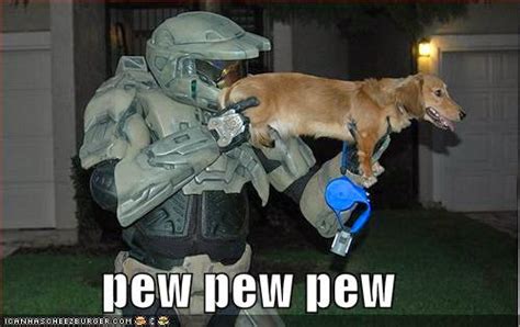 Funny Dogs With Guns Lol Picture Collection