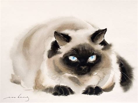 Ragdoll Cat Drawing At Explore Collection Of