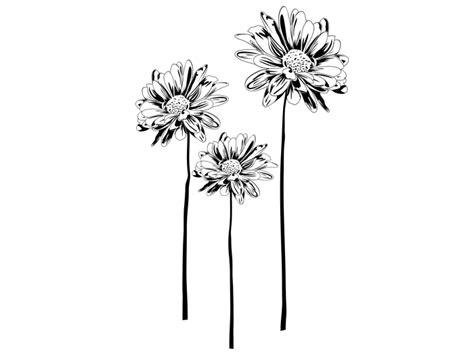 Finde und downloade kostenlose grafiken für png. Wandtattoo Margeriten bei Homesticker.de