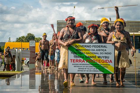 Ind Genas Munduruku Protestam Em Bras Lia Pela Demarca O E Prote O