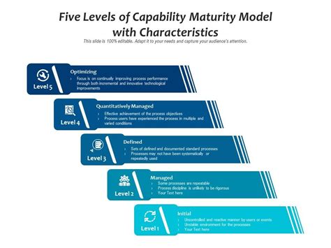 Capability Maturity Model Template