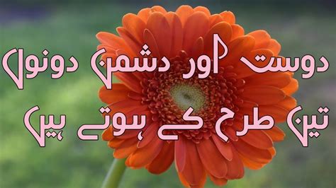 Dost Or Dushman Dono Teen Tarah Kay Hoty Hain Hazrat Ali Quotes
