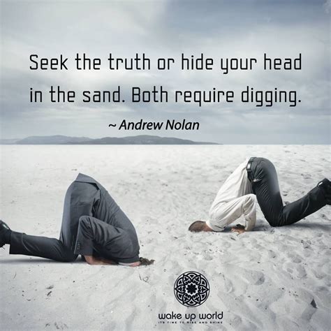 Pin By Barb Doyle On Reflective Quotes And Thoughts Head In The Sand