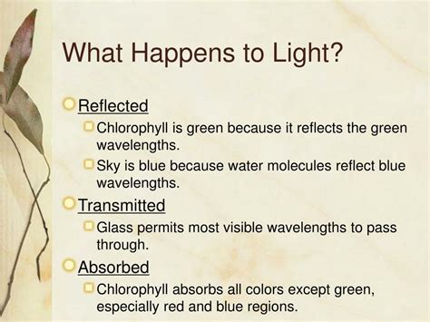 Ppt The Dual Nature Of Light Powerpoint Presentation Free Download