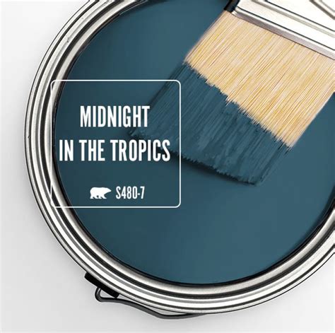 New Years Inspiration Midnight In The Tropics Colorfully Behr