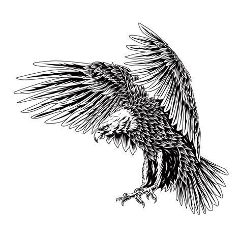 Discover 73 Realistic Eagle Sketch Ineteachers