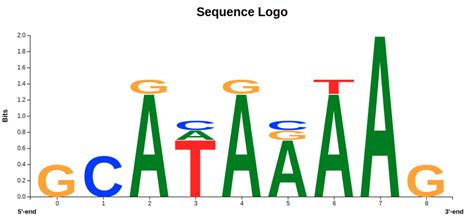 Motifs And Mutations The Logic Of Sequence Logos Dataversity