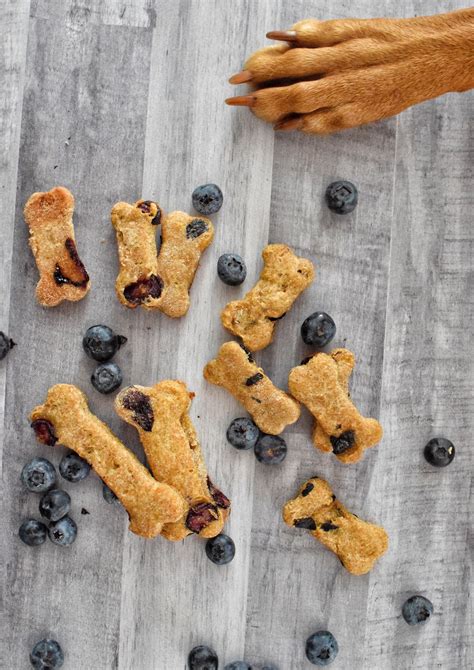 Easy 4 Ingredient Blueberry Dog Treats Sprinkles And Sea Salt Dog