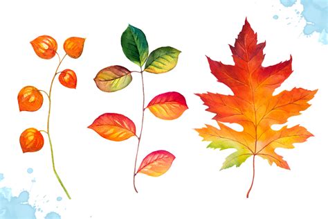 Autumn Leaves Watercolor Set