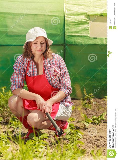 woman with gardening tool working in garden stock image image of working flower 115394271