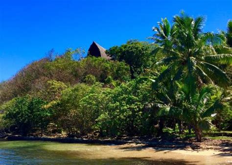 11 Best Hotels In Kadavu Island Fiji
