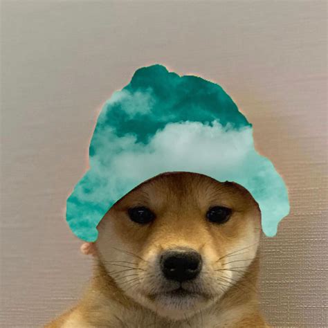 With tenor, maker of gif keyboard, add popular doge meme animated gifs to your conversations. skies : dogwifhatgang
