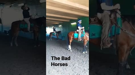 The Bad Horses Youtube