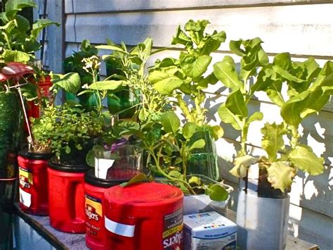 Recycled Container Garden Grow Pinterest