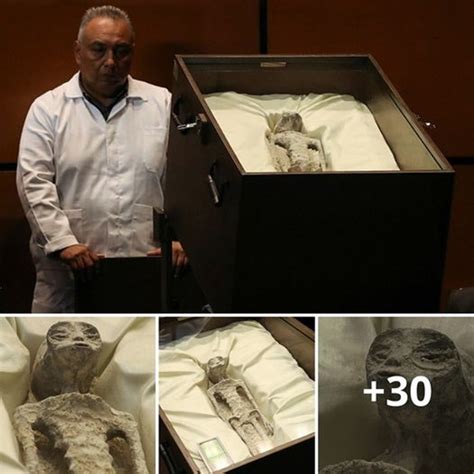 1000 Year Old Fossils Of ‘alien Corpses Displayed In Mexicos