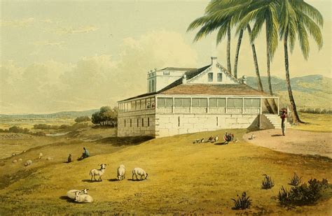 Check spelling or type a new query. Tour of the Jamaica Plantations with James Hakewill in 1820