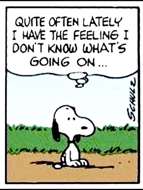 Pin By Kris In Montana On Peanuts In 2020 Snoopy Funny Snoopy Quotes