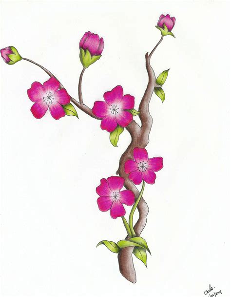 Cherry Blossoms By Chrismetalfreak On Deviantart