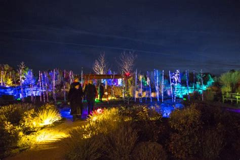 Glow Winter Lights Event Picture Of Santa Fe Botanical Garden Santa