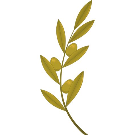 Olive Branch Png Vector Psd And Clipart With Transparent Background