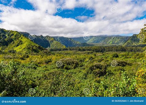 Lush Tropical Valley In Maui Hawaii Stock Image Image Of Environment