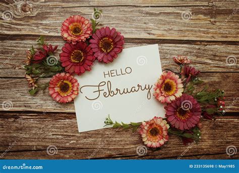 Hello February Typography Text With Flowers On Wooden Background Stock
