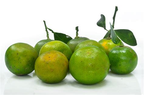 Yellow Green Calamansi Tropical Fruit Lime Stock Photo Download Image