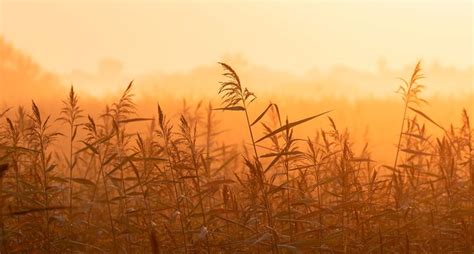 23 Hermosas Fotos En La Niebla Para Inspirarte Niebla Foto Hermosa