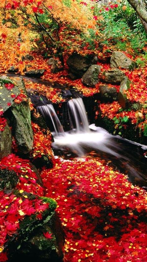 Red Leaves Waterfalls Love Waterfallslove Autumn Scenery Waterfall