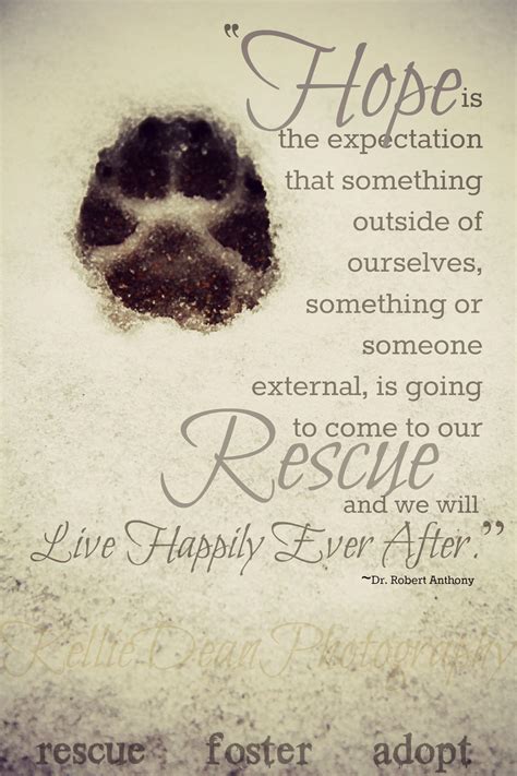 Rescue Quote Dog Adoption Quotes Animal Rescue Quotes Pet Loss Quotes