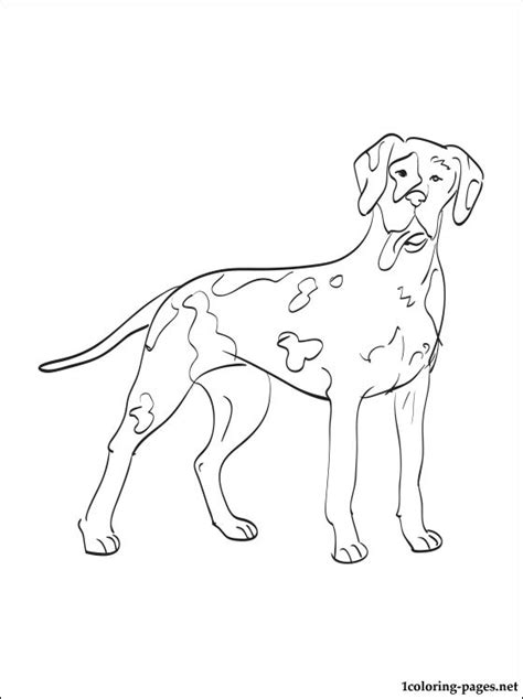 Great dane dog coloring pages. Great Dane coloring page | Coloring pages