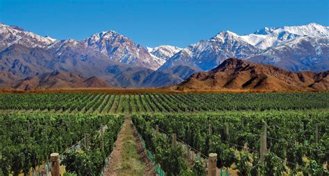 Mendoza Beautiful Places To Visit Wine Tourism Wine Tour