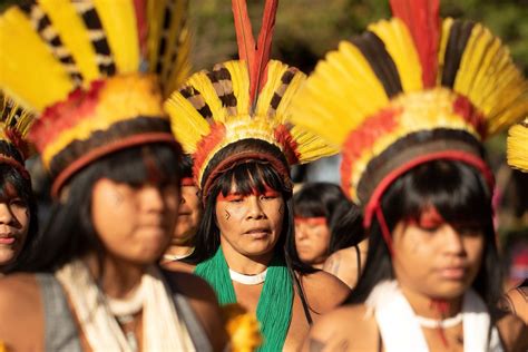A História Dos Povos Indígenas Do Brasil Nex Historia