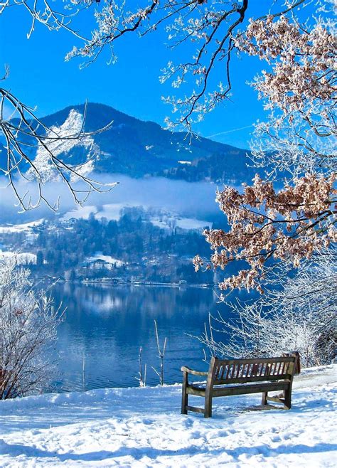 bright and crisp winter's day | Winter pictures, Winter scenery, Winter scenes