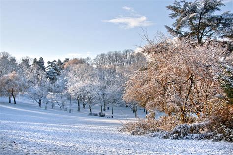 First Snow In The Park Stock Photo Image Of Blue Orange 27948990