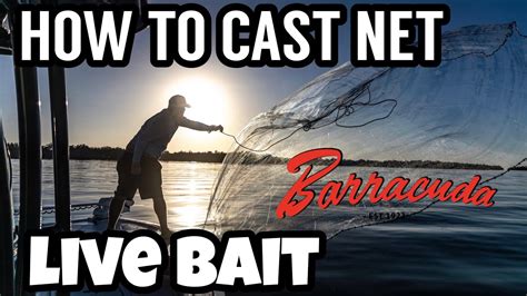 How To Chum And Catch Bait With A Cast Net White Bait Pinfish Youtube