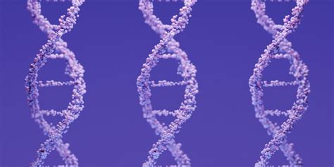 10 Amazing Dna Facts You May Not Know Alphabiolabs Uk
