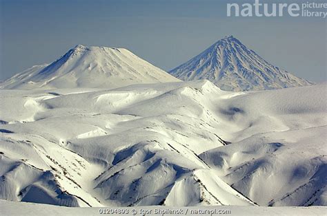 Nature Picture Library Snow Covered Kronotsky And Krashennikov