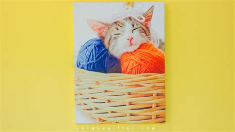Home decorators surprise the style mavens in your life with lovely home decor gifts! Fun Home Decor Gifts for Animal Lovers - Unique Gifter