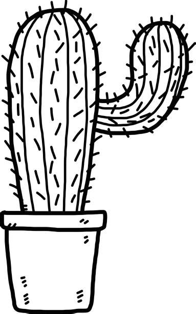 Royalty Free Cactus Black And White Vector Black Color Clip Art Vector