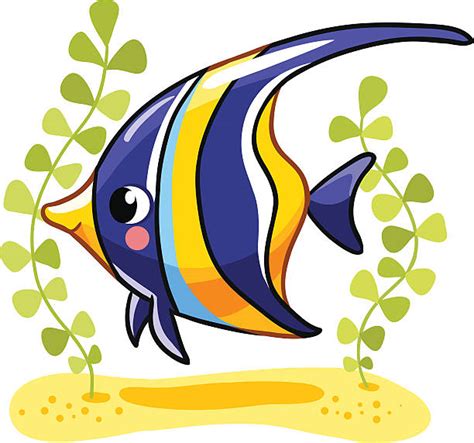 Best Angelfish Illustrations Royalty Free Vector Graphics And Clip Art