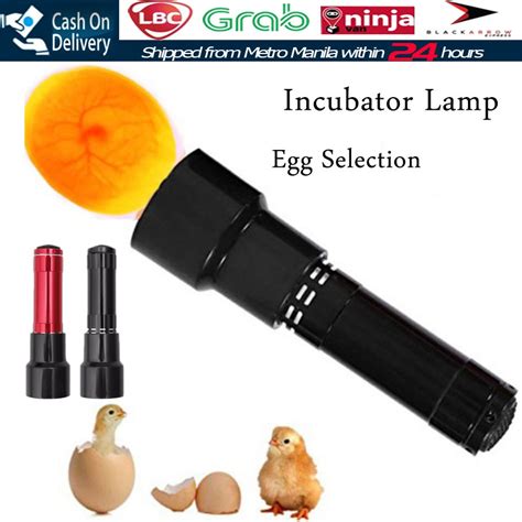 【fast Delivery】led Super Cold Cct Incubation Test Flashlight Eggtester Eggs Incubator Lamp Led