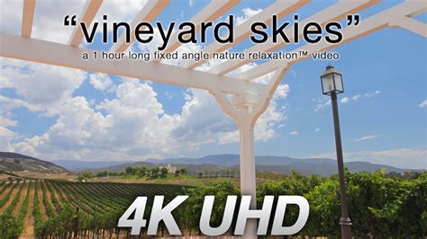 Vineyard Skies 1 Hr Static Nature Scene Nature Relaxation On Demand