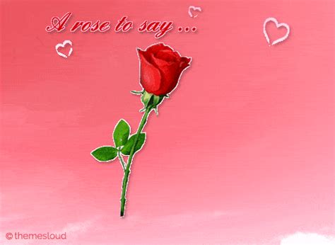 A Rose To Say I Love You Free I Love You Ecards 123 Greetings
