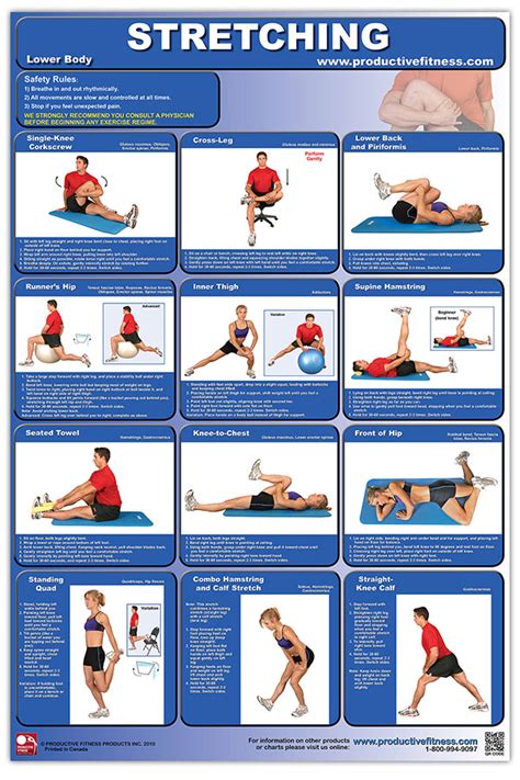 Lower Body Stretching Poster Fitness Serve