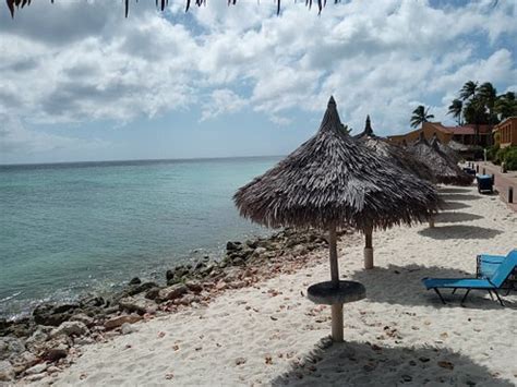 Tamarijn Aruba All Inclusive Updated 2023 Prices Reviews And Photos