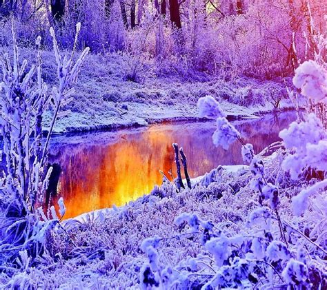 Purple Frozen River Lovely Yellow Bonito Trees Winter Cute Water