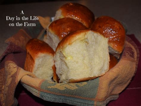 a day in the life on the farm japanese milk bread rolls breadbakers