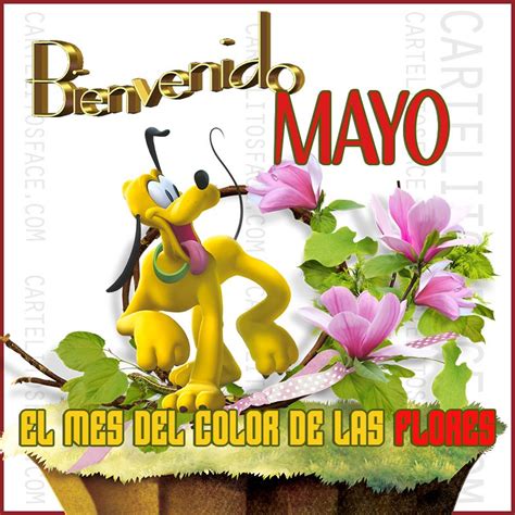Mayo El Mes Del Color El Mes Del Color De Las Flores Carteles Con