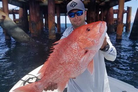 Red Snapper Season 2023 All You Need To Know